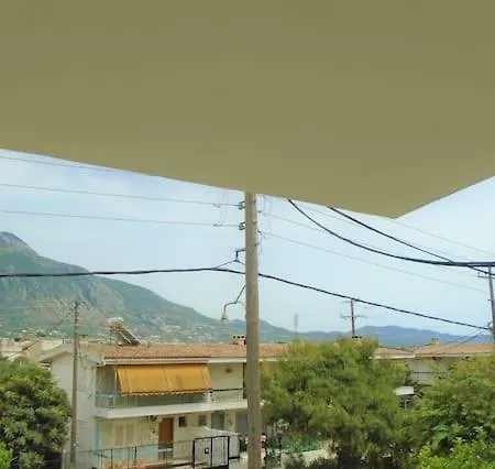 Vasiliki's *